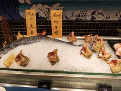 -盛宴自助餐厅(运达喜来登店)