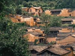 -杨家堂村