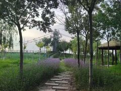 -西青郊野公园