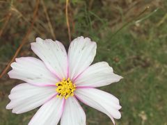 -小山寨(天润城店)