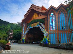 -西双版纳原始森林公园