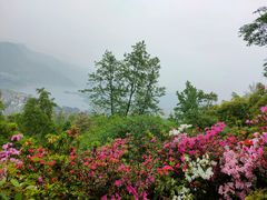 -三峡梯城