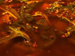 -龙门阵茶屋川菜馆(武康路店)
