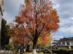 -大理文庙(大理古城)