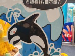 -海合安成都极地海洋公园