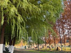 -滨湖塘西河公园