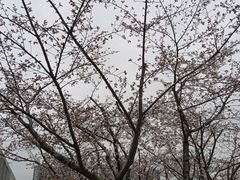 -龙美术馆(西岸馆)