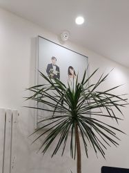 点击看大图 -北遇映画PHOTO GRAPHY STUDIO