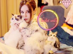 -Bastet sally猫舍购宠(静安店)