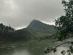 -黔灵山公园