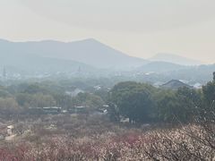 -香雪海