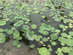 -西海子公园