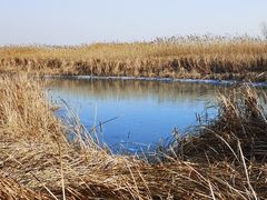 -苏州太湖湖滨国家湿地公园