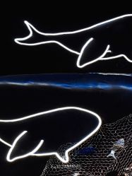 -红丝高端婚礼中心(旗舰店)