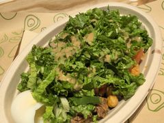 -油梨树 AVOCADO TREE(亮马桥店)