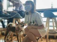 -帝京日语(春熙路旗舰校区)