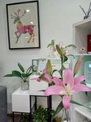 -时间海科学美容