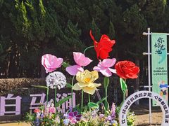 -白马涧龙池景区
