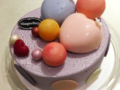 -哈根达斯(石家庄北国店)