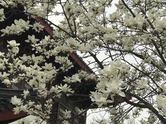 -堤角公园