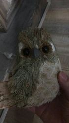 -星豆豆儿童摄影(南郊太白南路店)