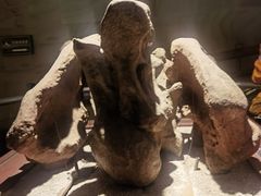 -世界恐龙谷景区