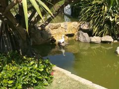 -厦门日月谷温泉渡假村