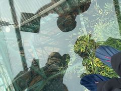 -陶祖圣境风景区