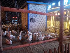 -鱼窝棚柴火铁锅炖(富山屯店)