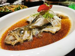 清蒸鲈鱼-七十二行(渝北店)