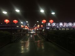 -武汉两江游览·夜游长江(汉口粤汉码头)
