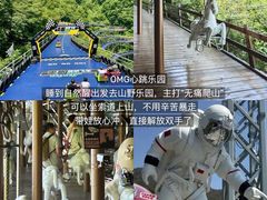 -芦茨金富饭庄·25年老字号·专做稻草鸡