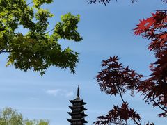 -上海方塔园