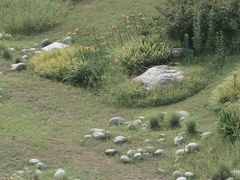 -中国西部国际博览城