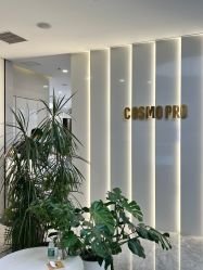 点击看大图 -COSMO PRO造型