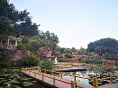 -广州莲花山旅游区