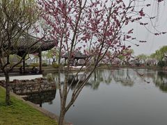 -无锡蠡湖国家湿地公园-蠡园