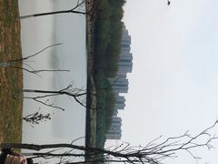 -丁香湖公园