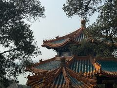 -宫事颐庭·老佛爷贵寿下午茶(颐和园店)