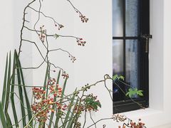 -Fridi Patisserie Cafe