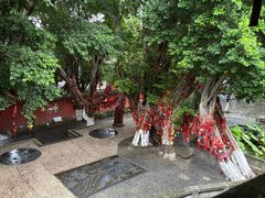 -白帝城·瞿塘峡景区