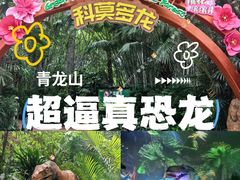 -广州长隆野生动物世界