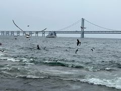 -星海广场