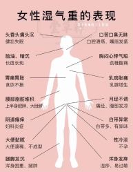 -香薇妮丝·定制减肥·身材管理