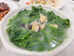 -姚林轩