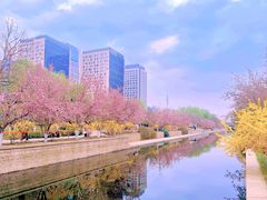 -海棠花溪(元大都城垣遗址公园)