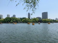 -月湖公园