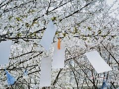 -江南大学(蠡湖校区)