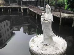 -长洲岛