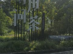 -美的鹭湖森林度假区